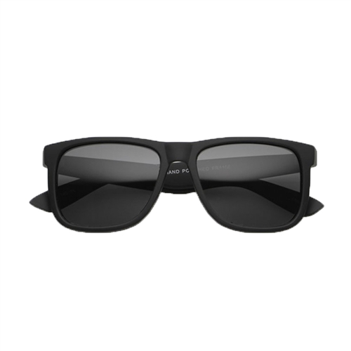 Hipster Polarized Rubberized Horned Rim Sunglasses