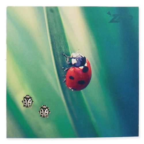 Zad Jewelry Ladybug Stud Earrings