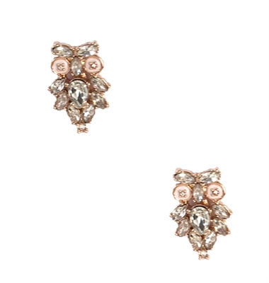 Kate Spade Wise Owl Stud Earrings