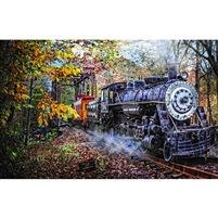SunsOut Train's Coming 1000 Pc Jigsaw Puzzle