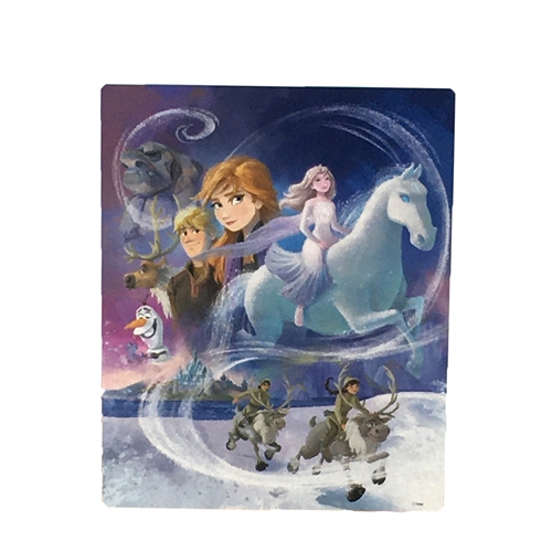 Disney Frozen 2 Elsa Ice Nokk & Friends 500 Piece Jigsaw Puzzle
