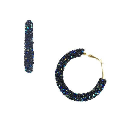 Jewelry Collection Crystal Encrusted Hoop Earrings