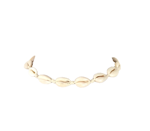 Jewlery Collection Cowrie Seashell Choker Necklace